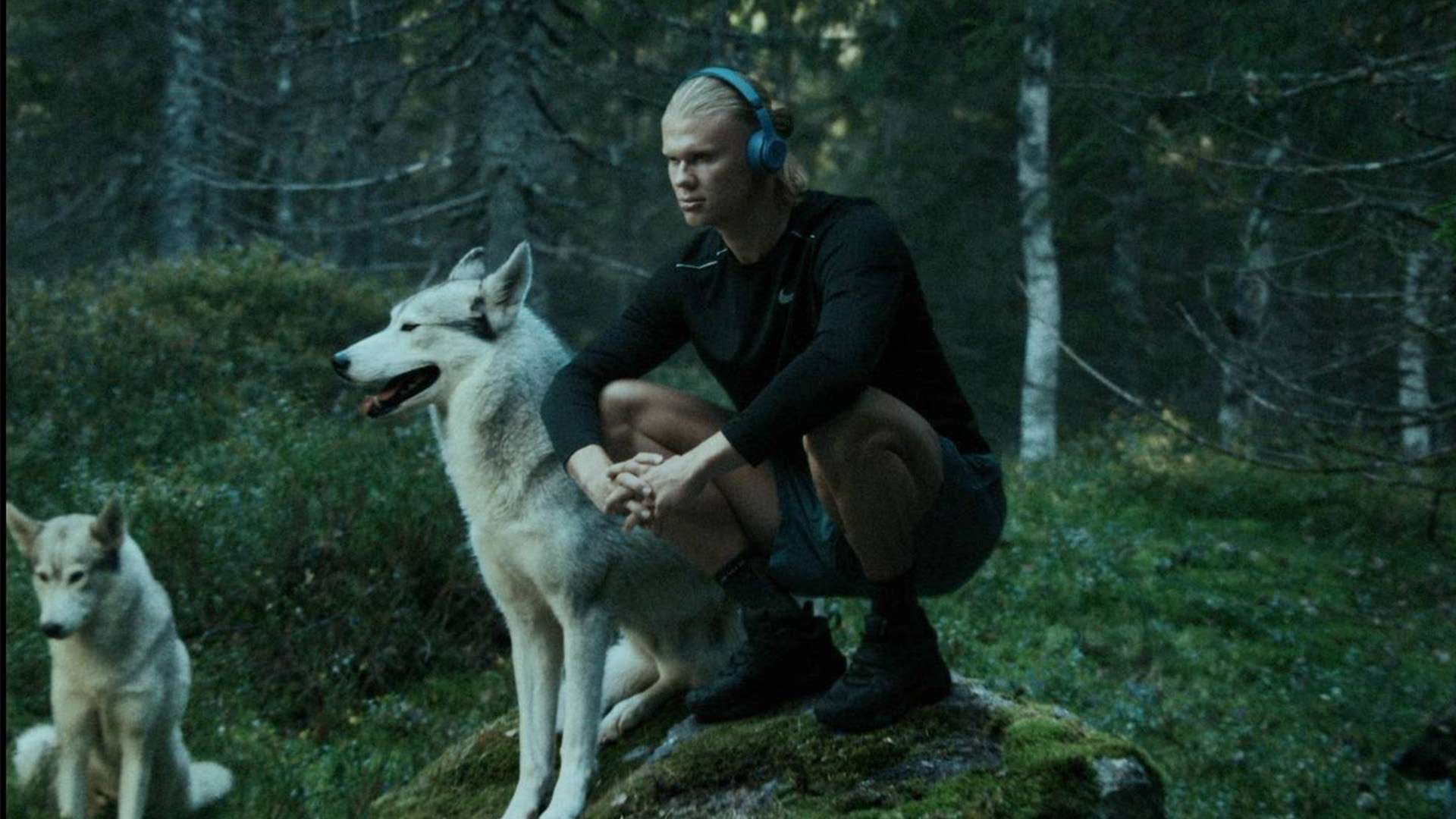 感的破裂 感的破裂